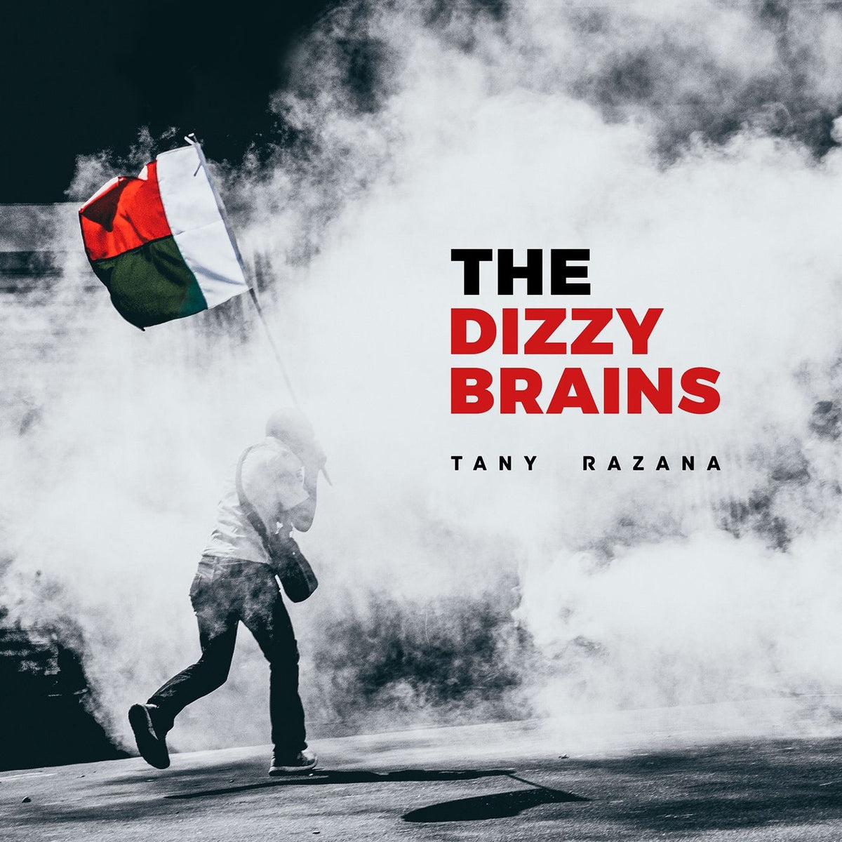 Dizzy Brains – Tany Razana vinyl record cover