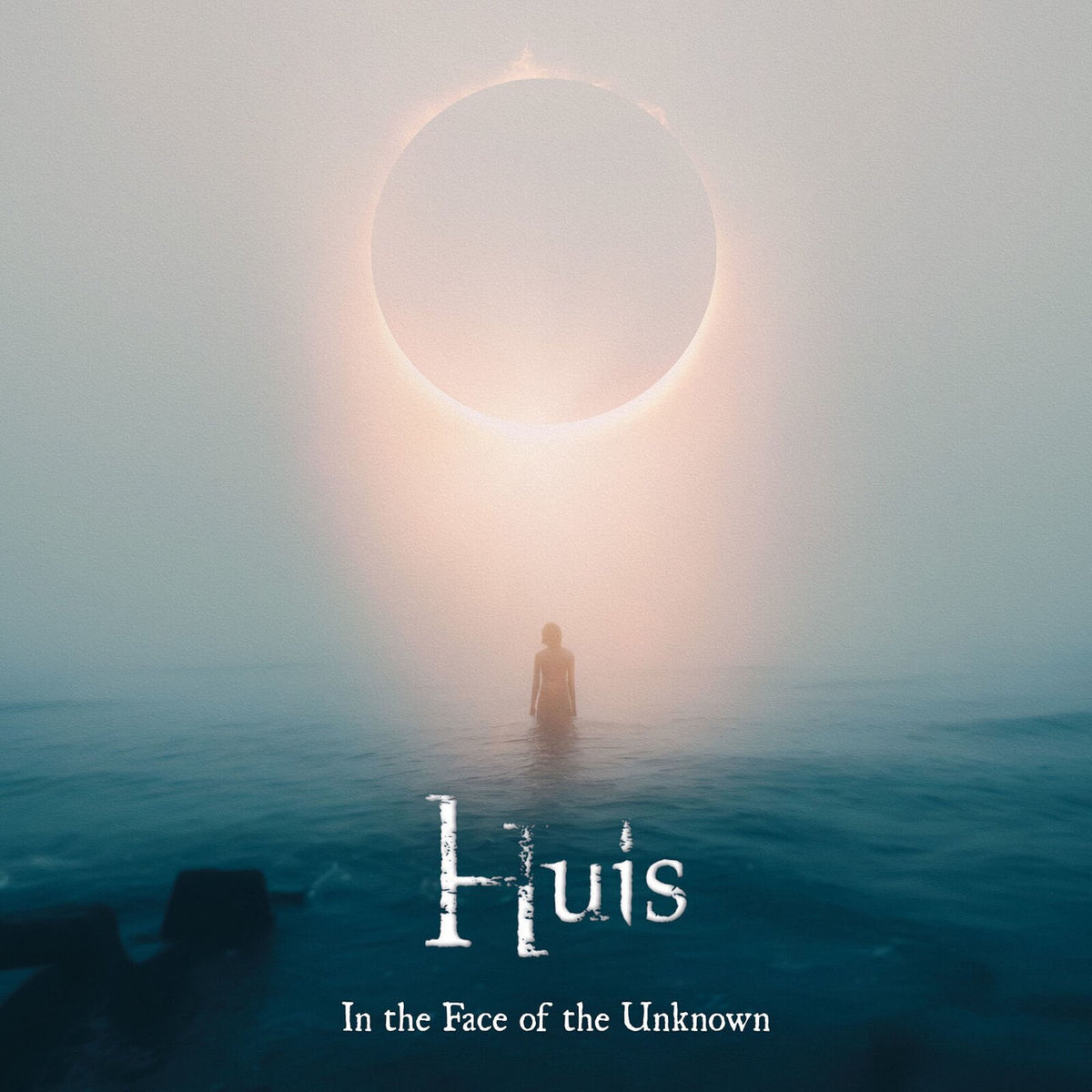 HUIS – In The Face Of The Unk... vinyl record cover