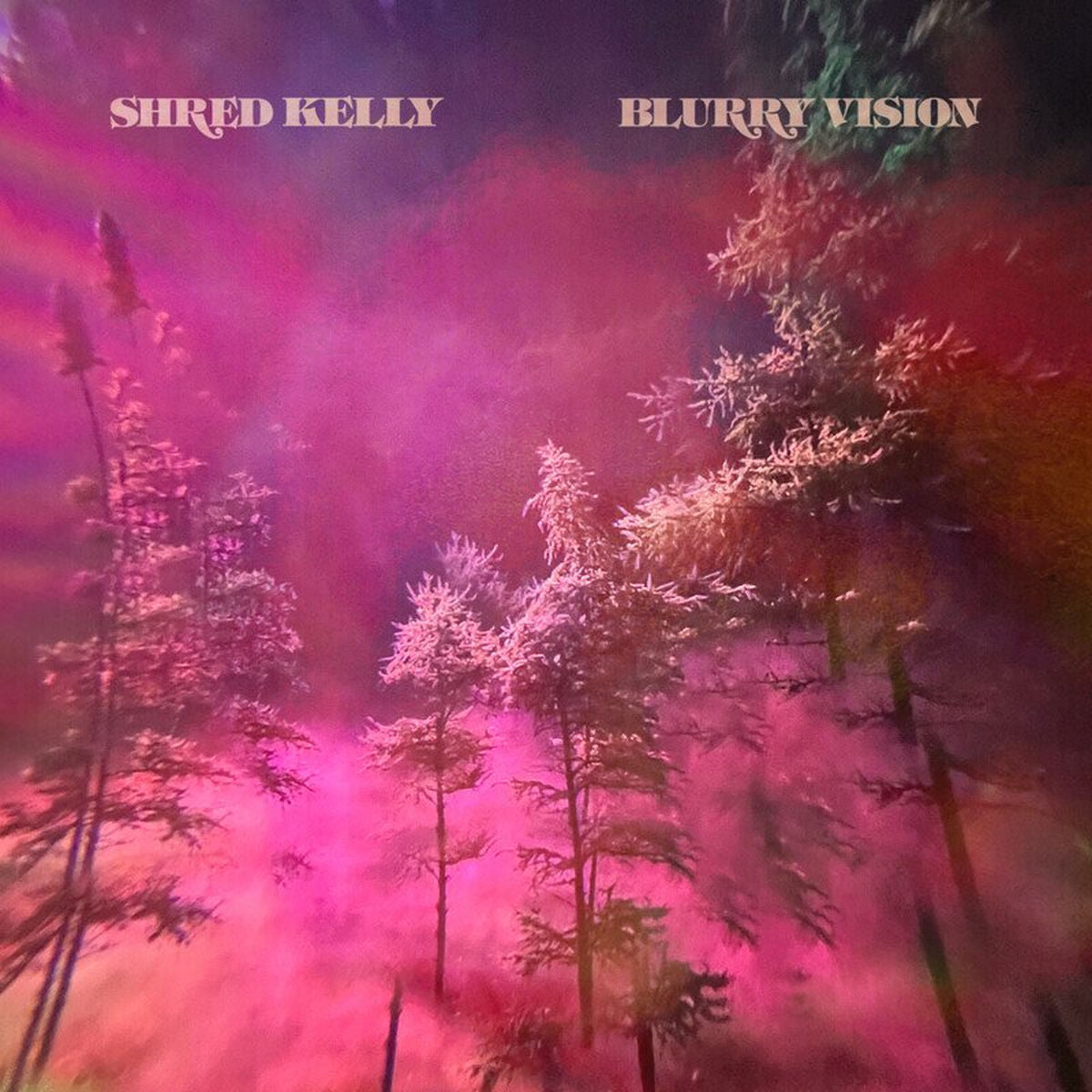 Shred Kelly – Blurry Vision vinyl record cover