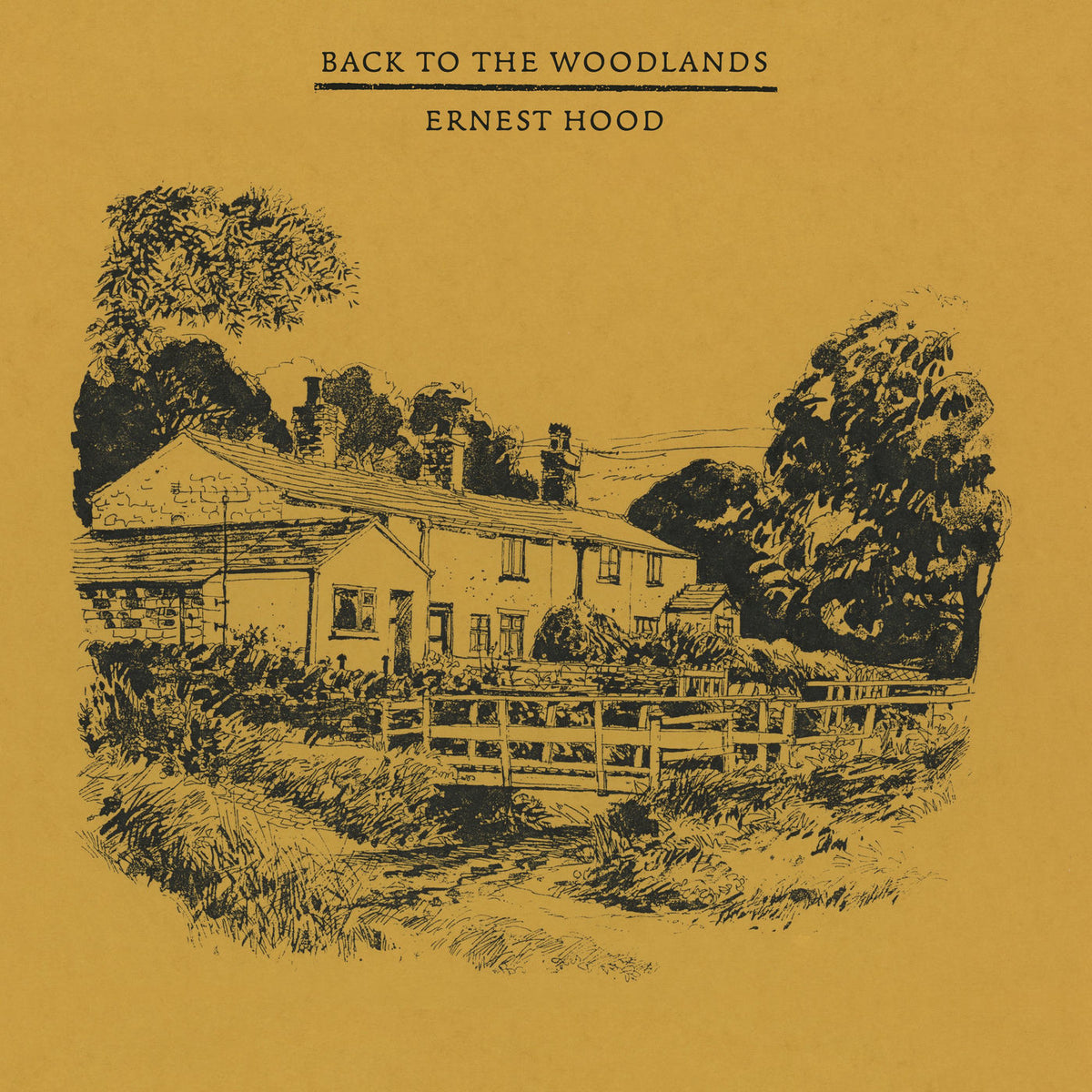 Ernest Hood – Back to the Woodlands vinyl cover