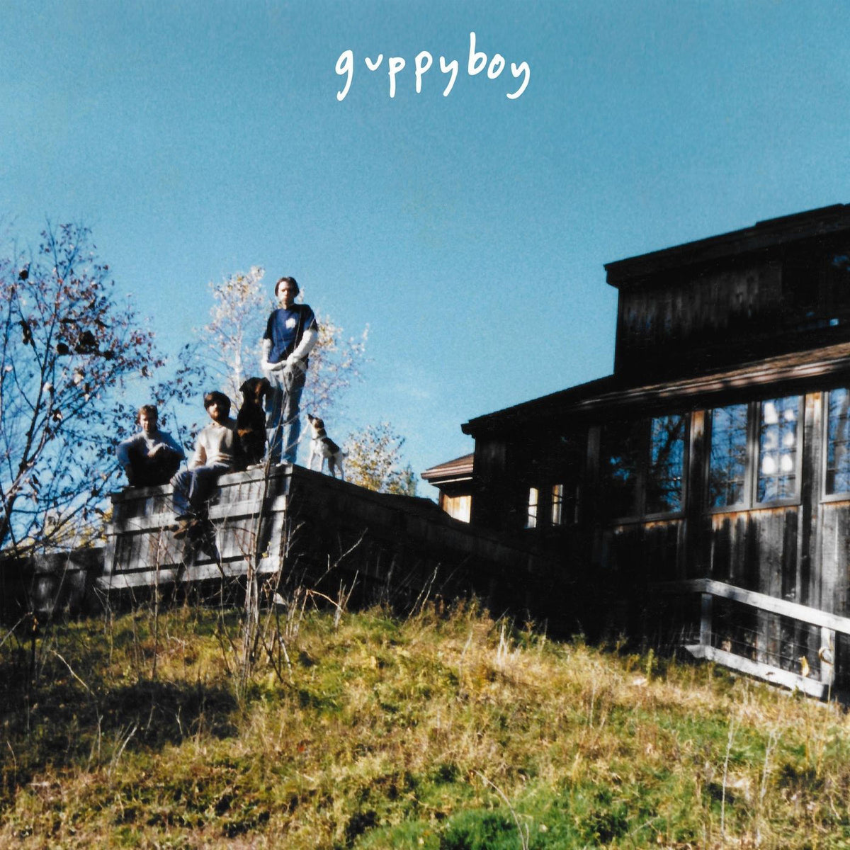 Guppyboy – Jeffersonville (Deluxe Edition) vinyl cover