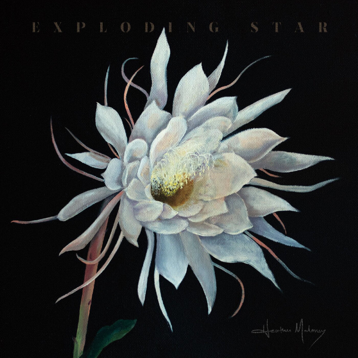 Heather Maloney – Exploding Star vinyl cover