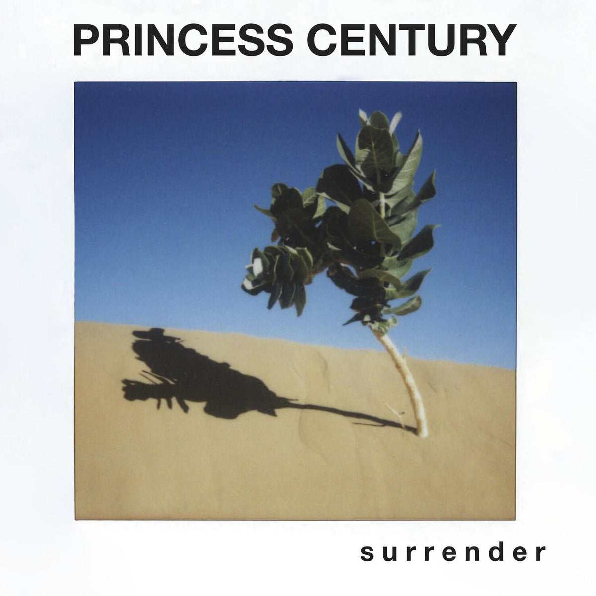 Princess Century – S U R R E N D E R vinyl record cover