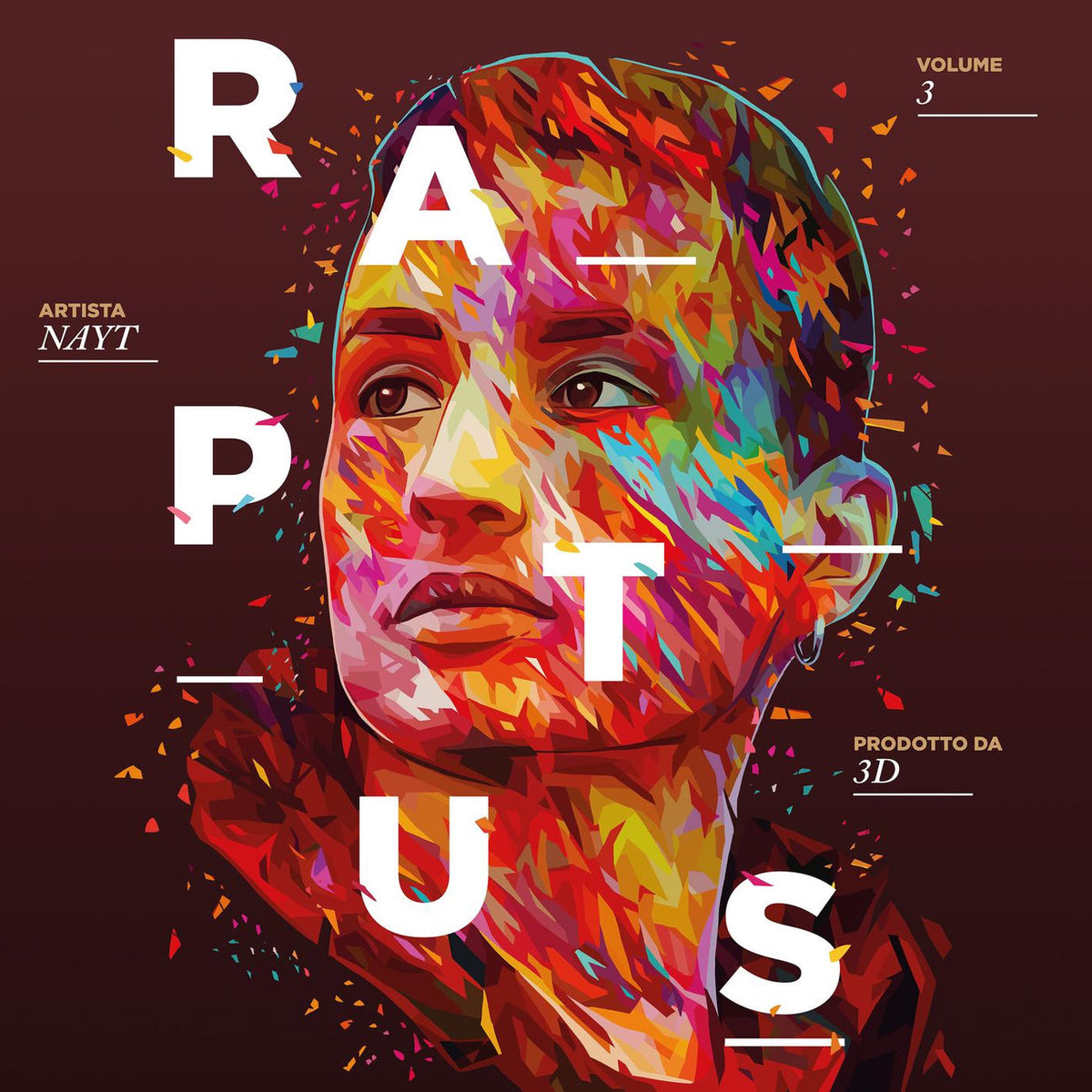 NAYT – Raptus vinyl record cover