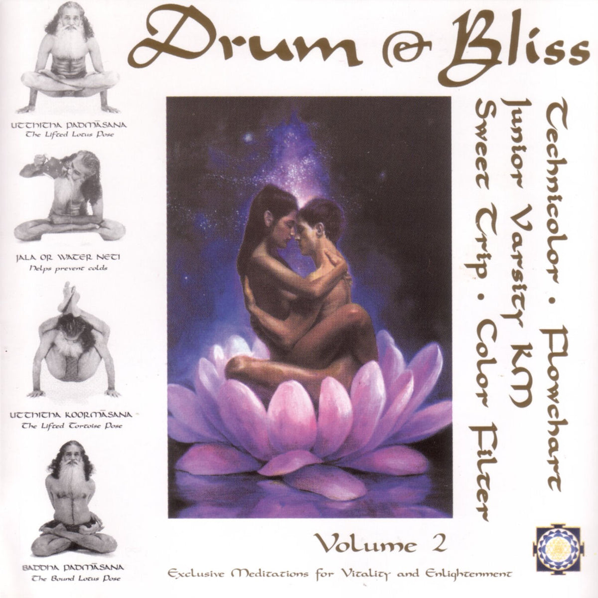 Various Artists – Drum & Bliss 2 vinyl record cover