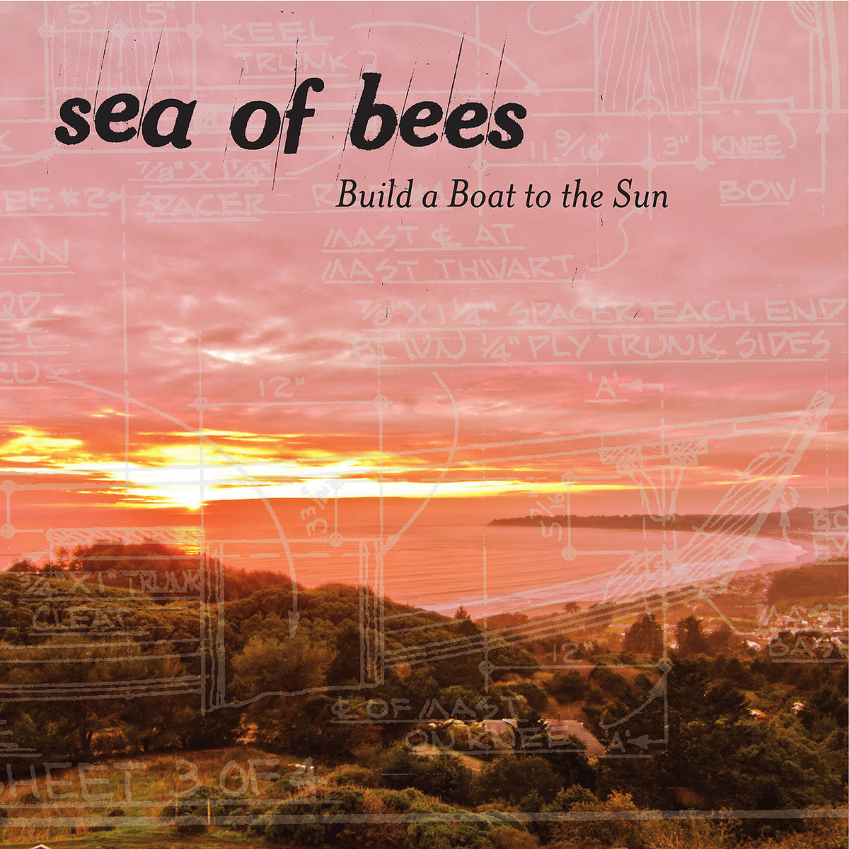 Sea of Bees – Build a Boat to the Sun vinyl record cover