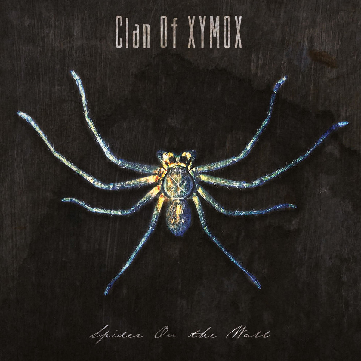 Clan Of Xymox – Spider On The Wall vinyl record cover