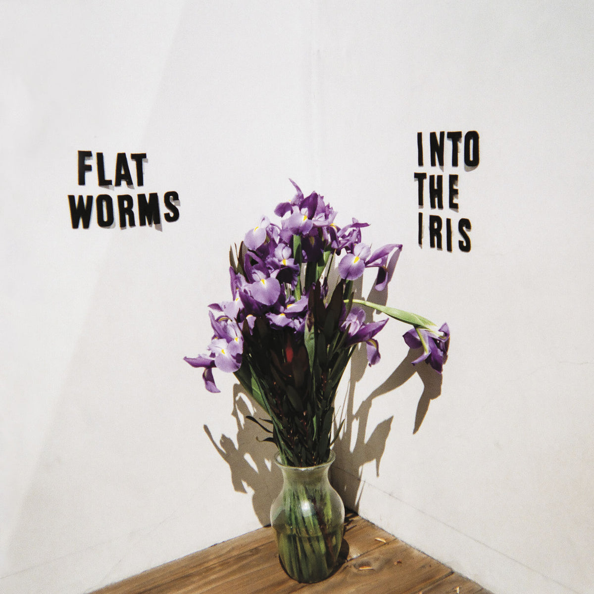Flat Worms – Into The Iris vinyl cover
