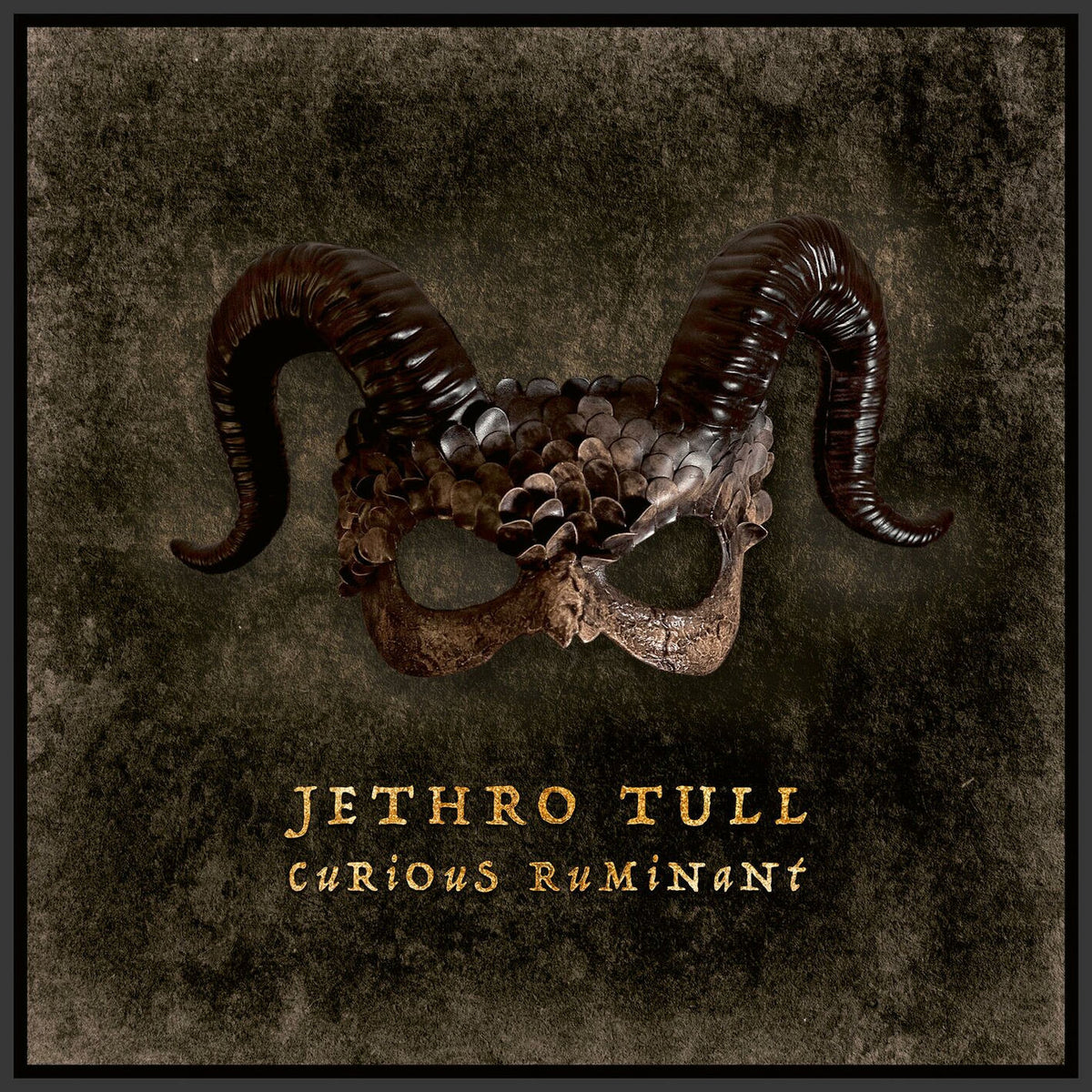 Jethro Tull – Curious Ruminant vinyl record cover