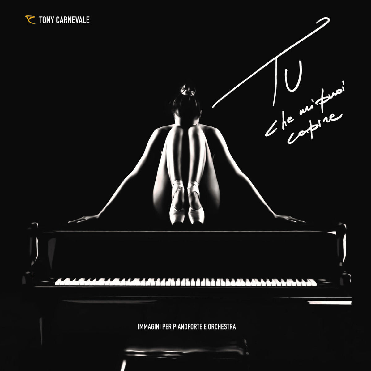 Tony Carnevale – Tu Che Mi Puoi Capire vinyl record cover