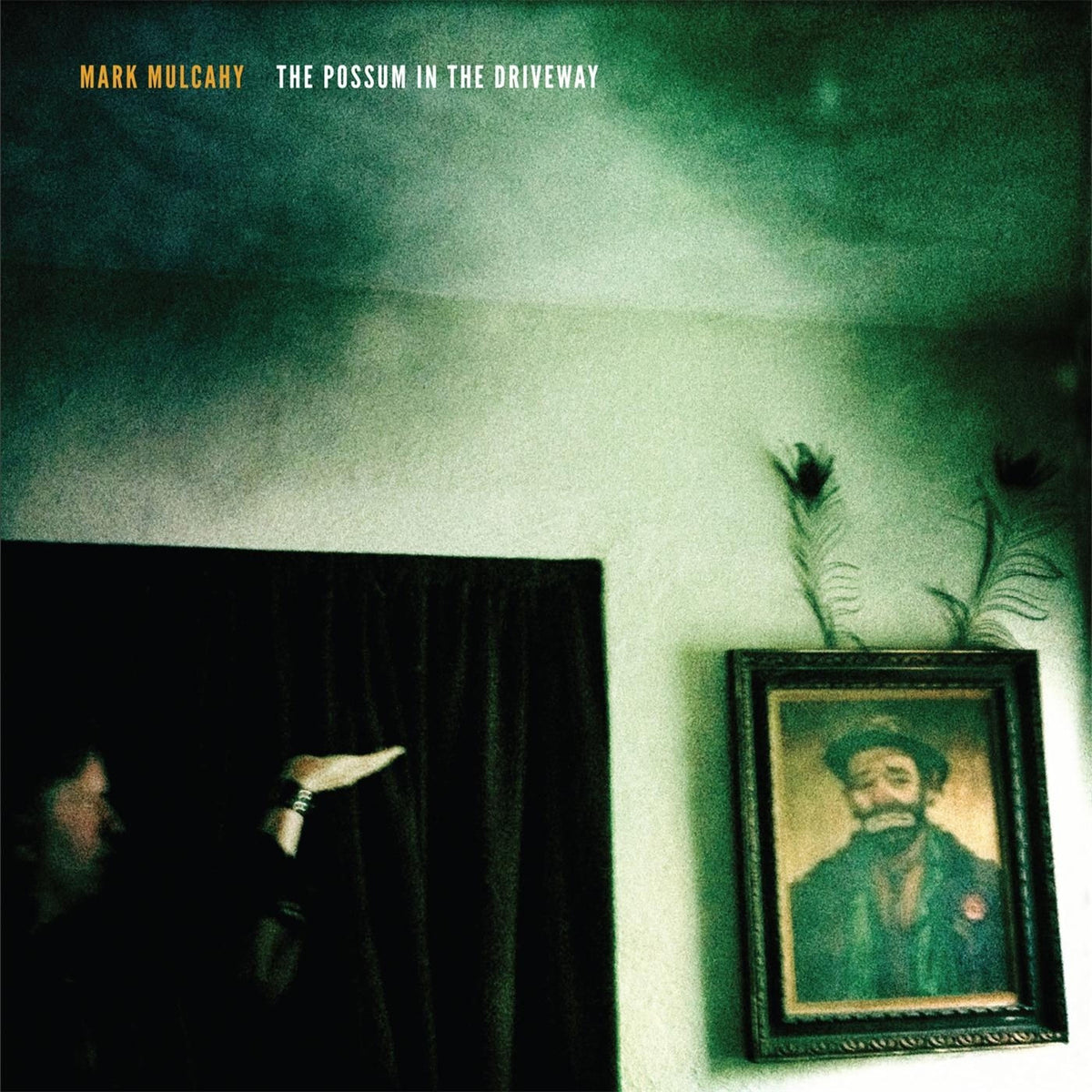 mark mulcahy – The Possum in the Driveway vinyl cover