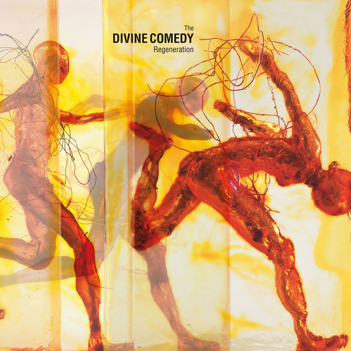 The Divine Comedy – Regeneration vinyl record cover