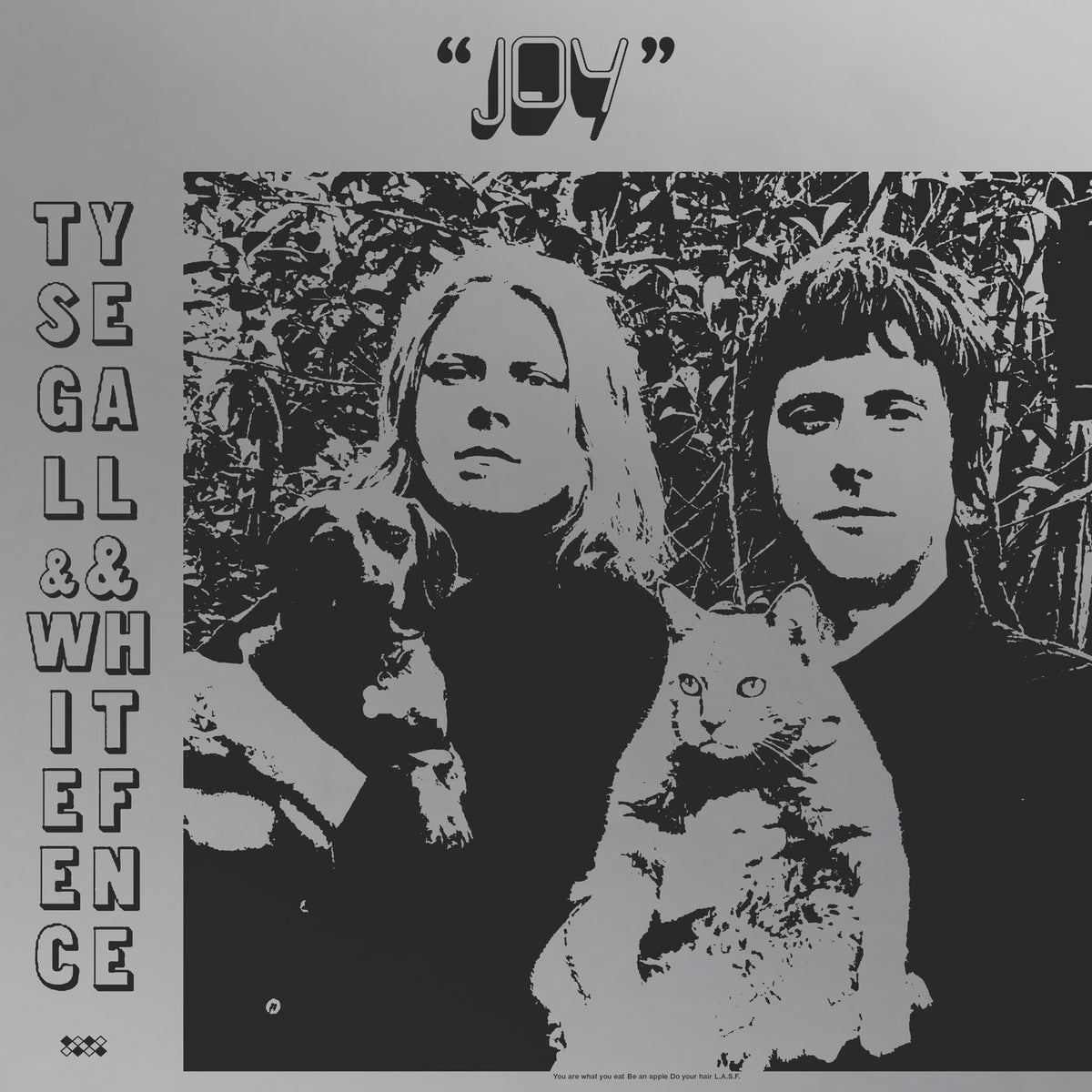 Ty Segall – Joy vinyl cover