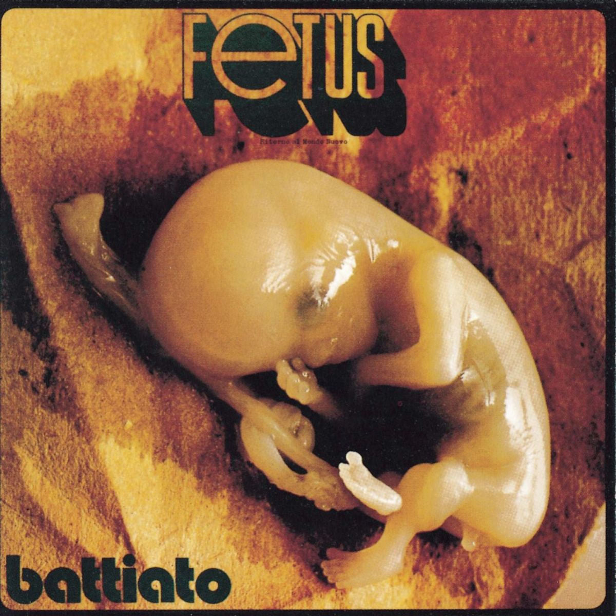 Franco Battiato – Fetus vinyl cover