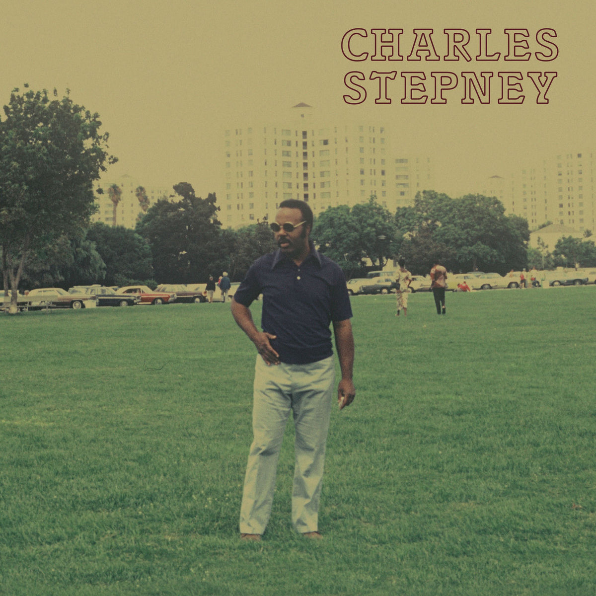 Charles Stepney – Step On Step vinyl record cover
