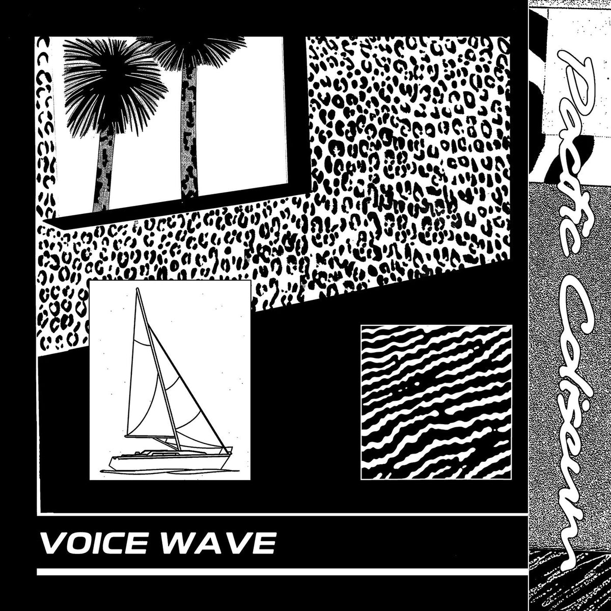 Pacific Coliseum – Voice Wave vinyl cover