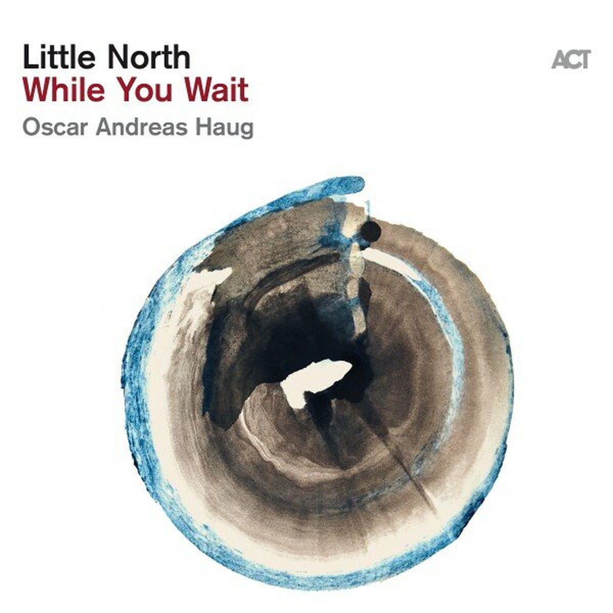 Little North – While You Wait vinyl cover