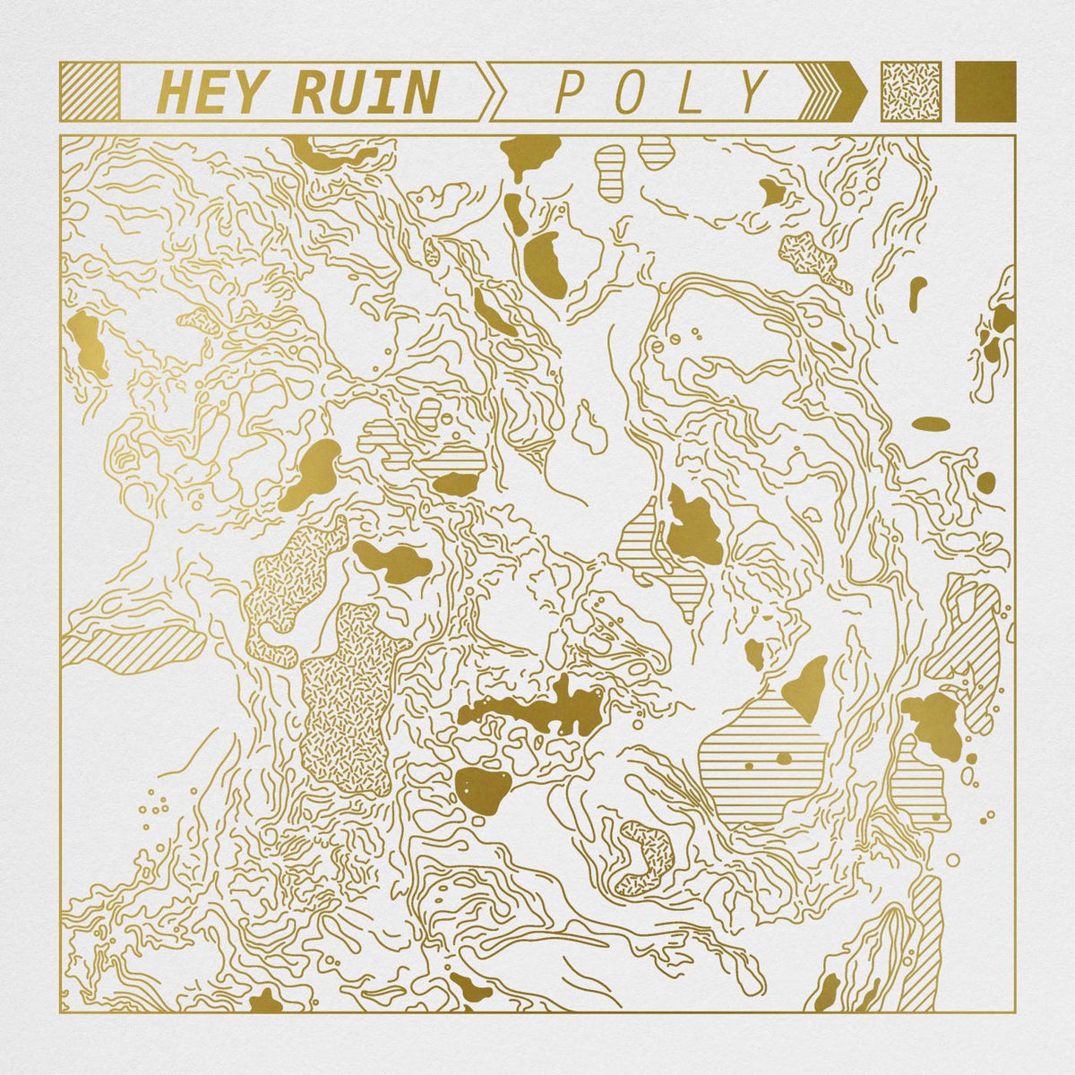 Hey Ruin – POLY vinyl record cover