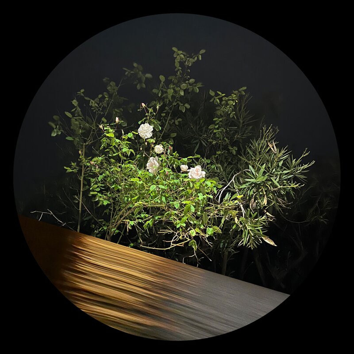 Ben La Desh – Fine Rise EP vinyl cover