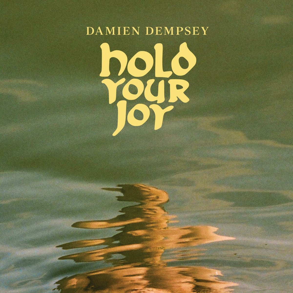 Damien Dempsey – Hold Your Joy vinyl record cover
