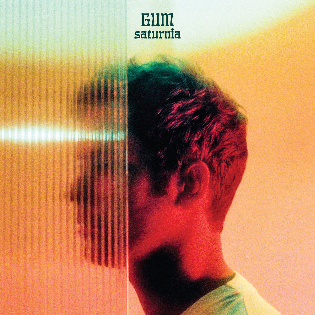 Gum – Saturnia vinyl record cover