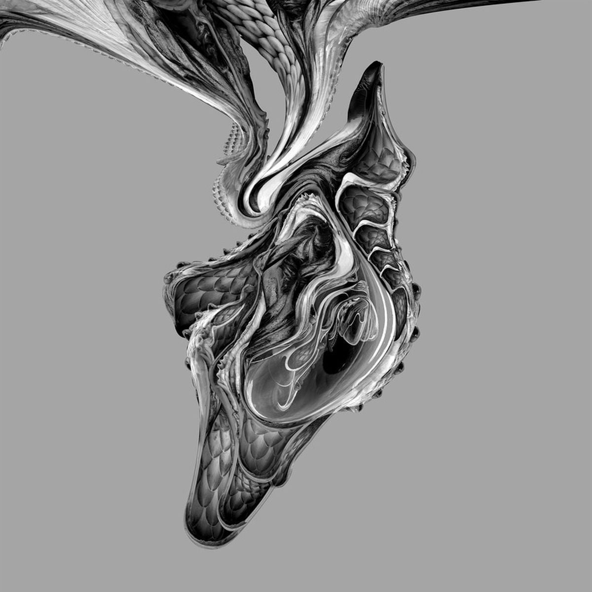 BOLA – D.E.G. vinyl record cover