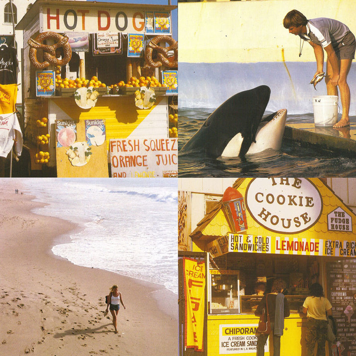Best Coast – Something In The Way vinyl cover