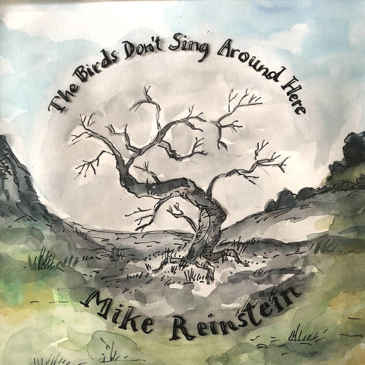 Mike Reinstein – The Birds Don't Sing Around Here vinyl cover