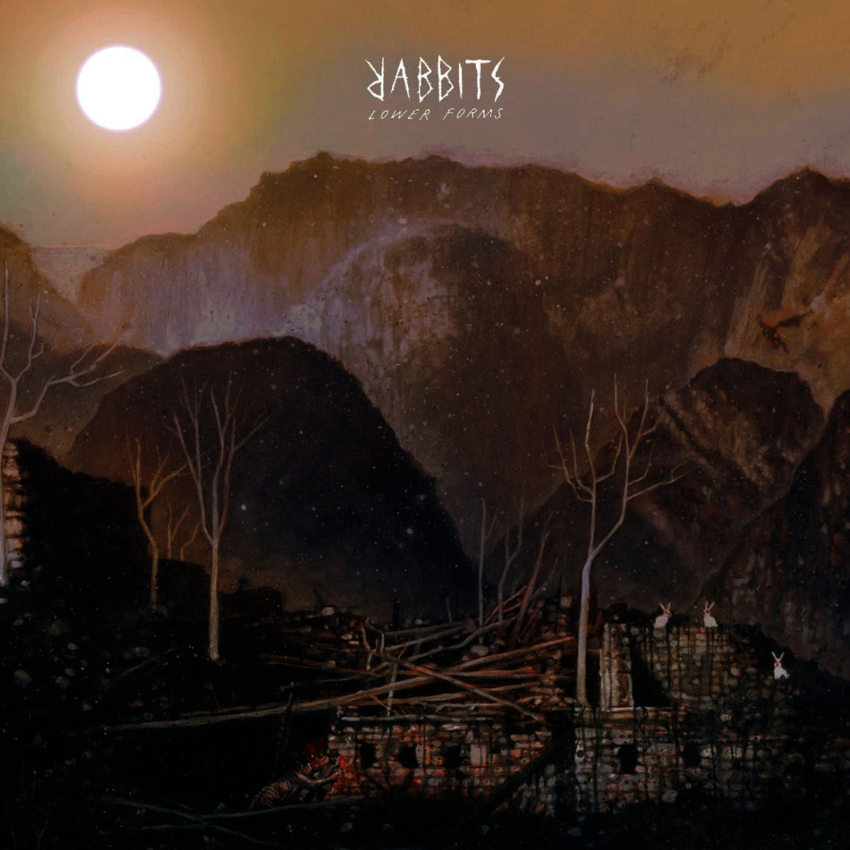 Rabbits – Lower Forms vinyl record cover