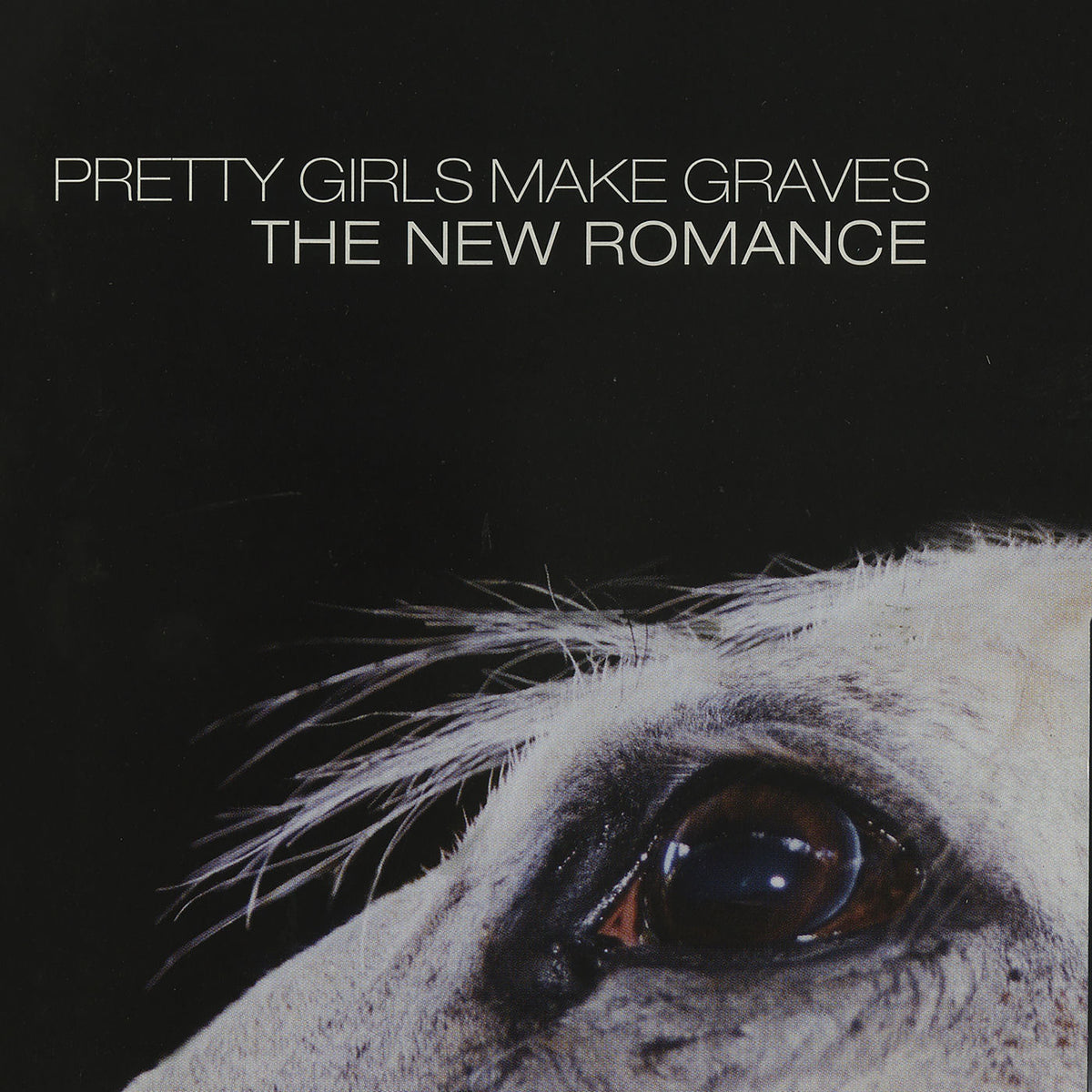 Pretty Girls Make Graves – The New Romance vinyl record cover