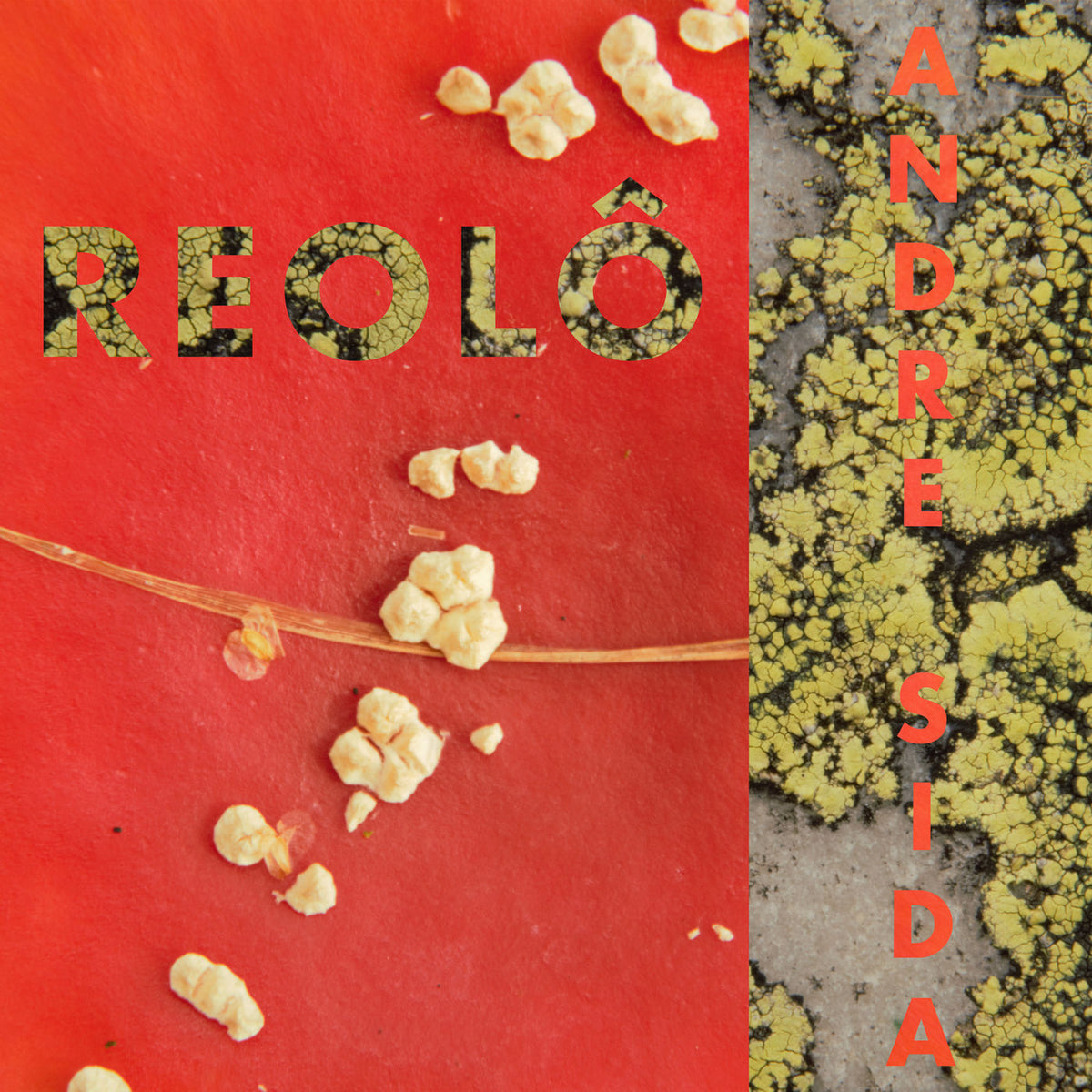 Reolo – Andre Side vinyl record cover