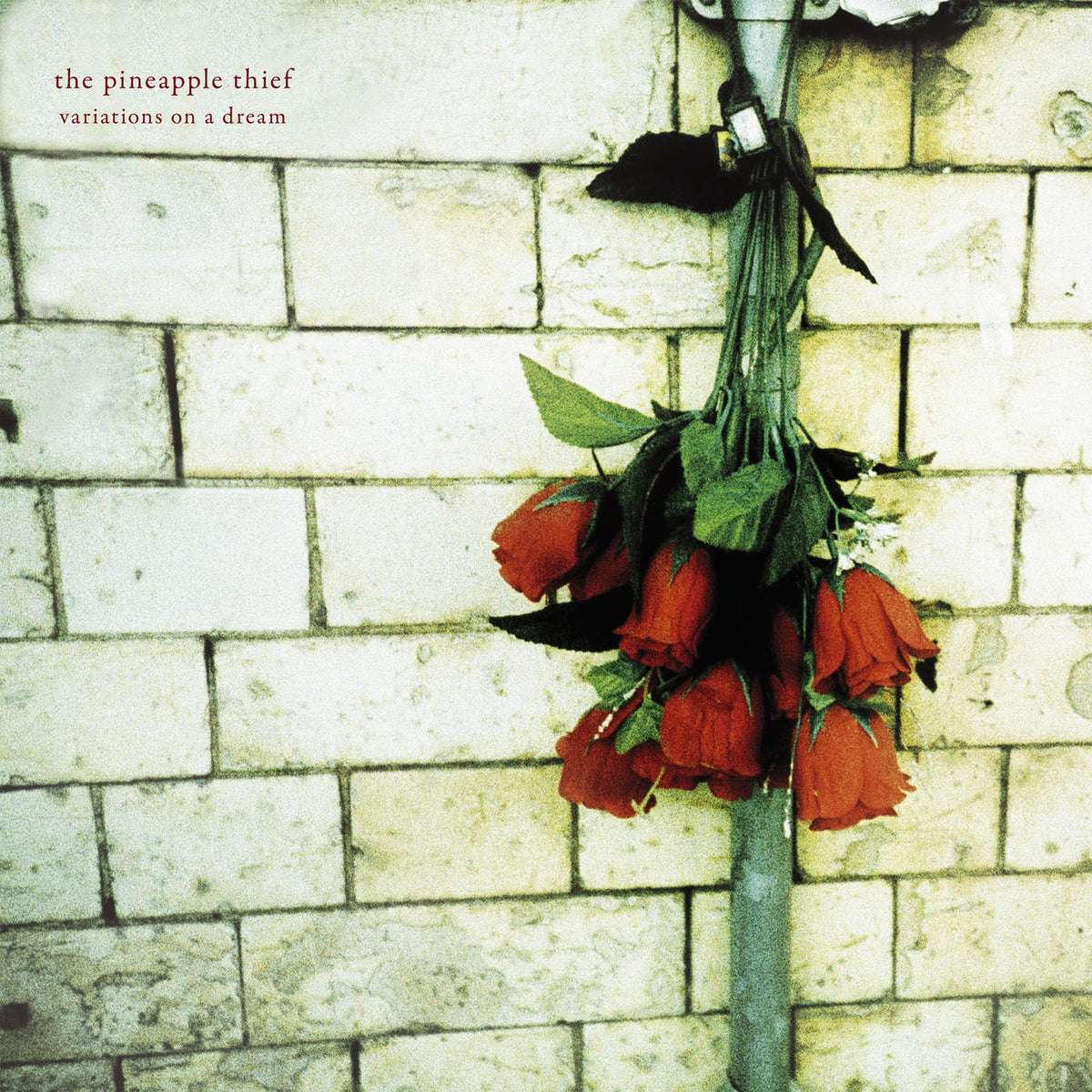 The Pineapple Thief – Variations on a Dream (Remastered) vinyl cover