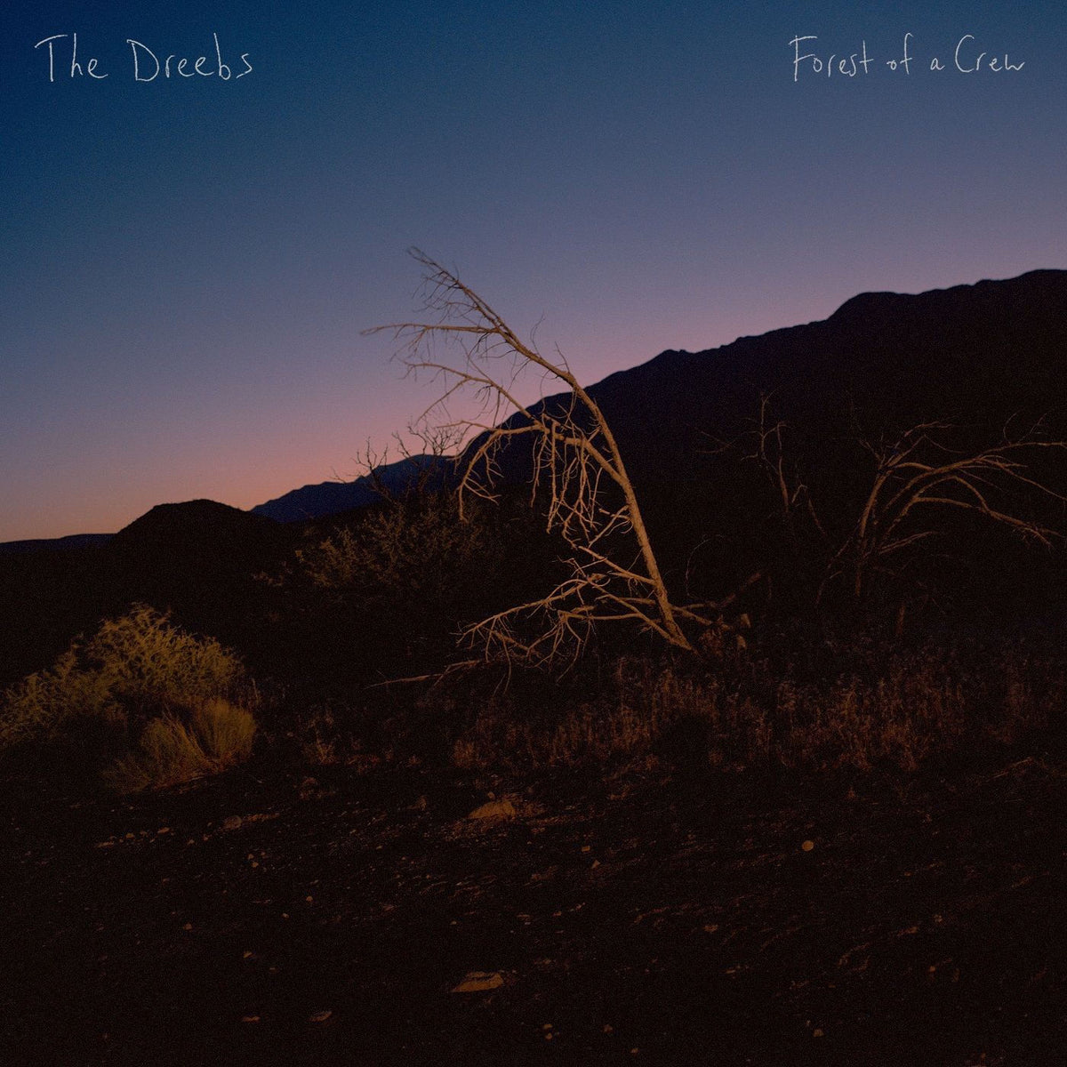 The Dreebs – Forest of a Crew vinyl cover