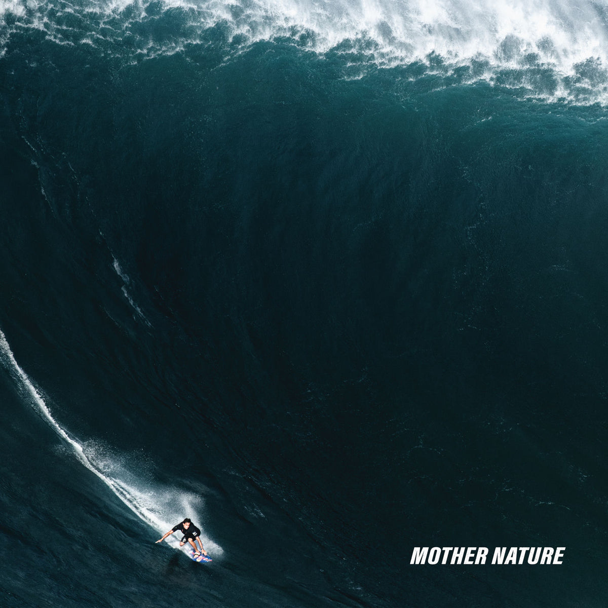 The Dangerous Summer – Mother Nature vinyl record cover