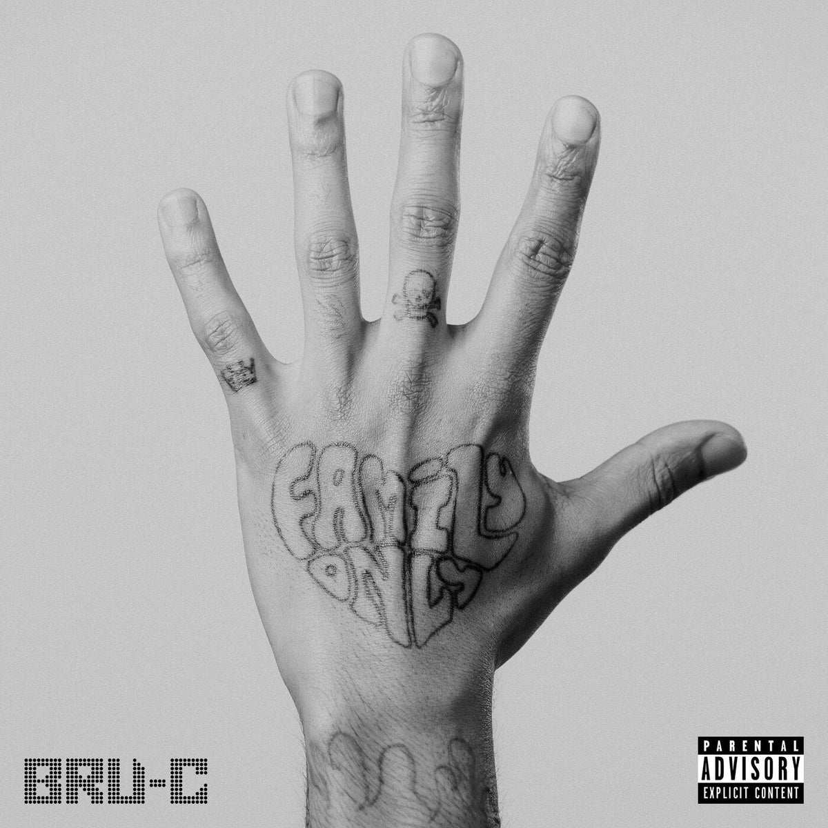 Bru-C – Family Only vinyl record cover