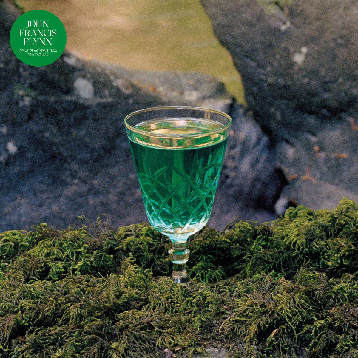 John Francis Flynn – Look Over the Wall, See the Sky vinyl cover