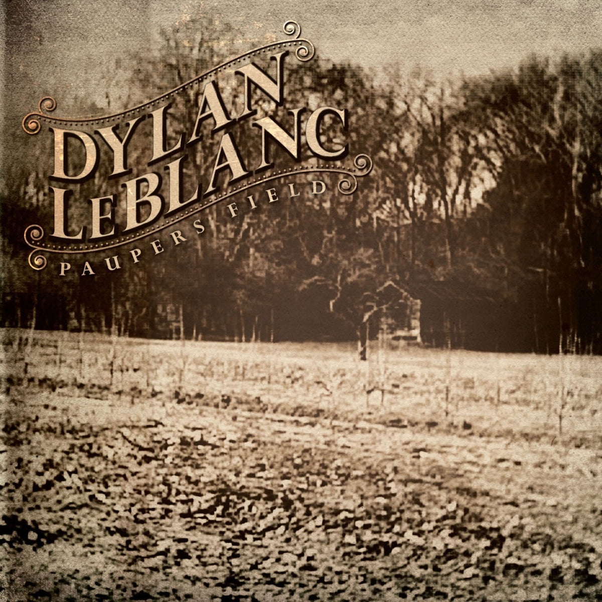 Dylan LeBlanc – Paupers Field vinyl cover