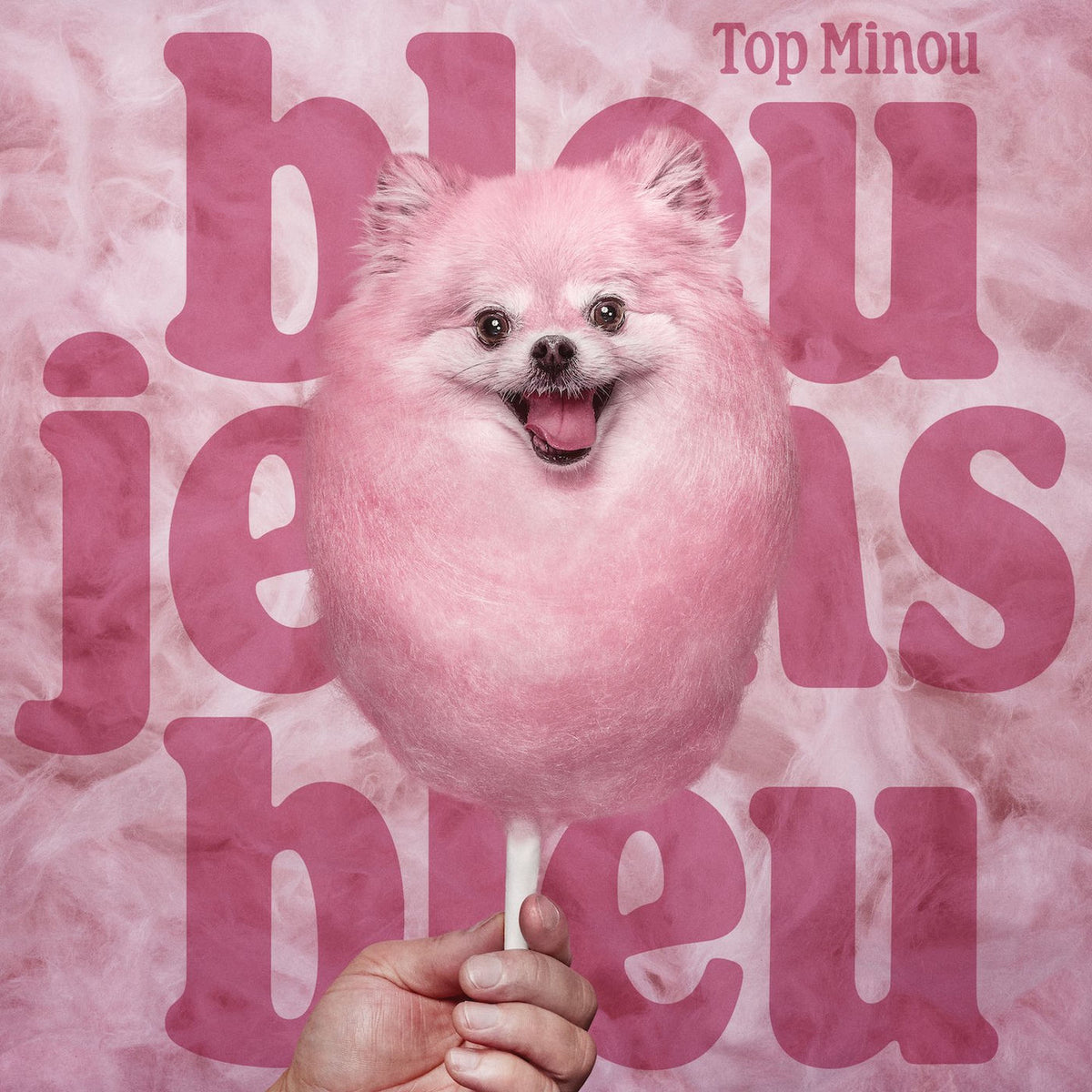 Bleu Jeans Bleu – Top Minou vinyl record cover