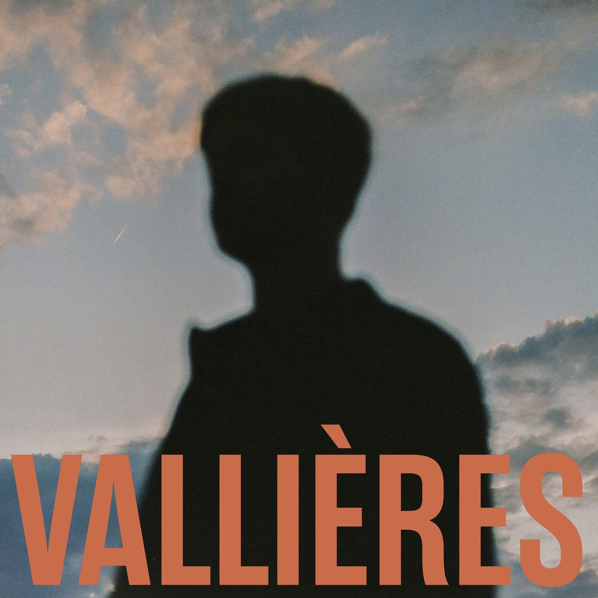 Vincent Vallieres – Toute Beaute N'Est Pas vinyl record cover