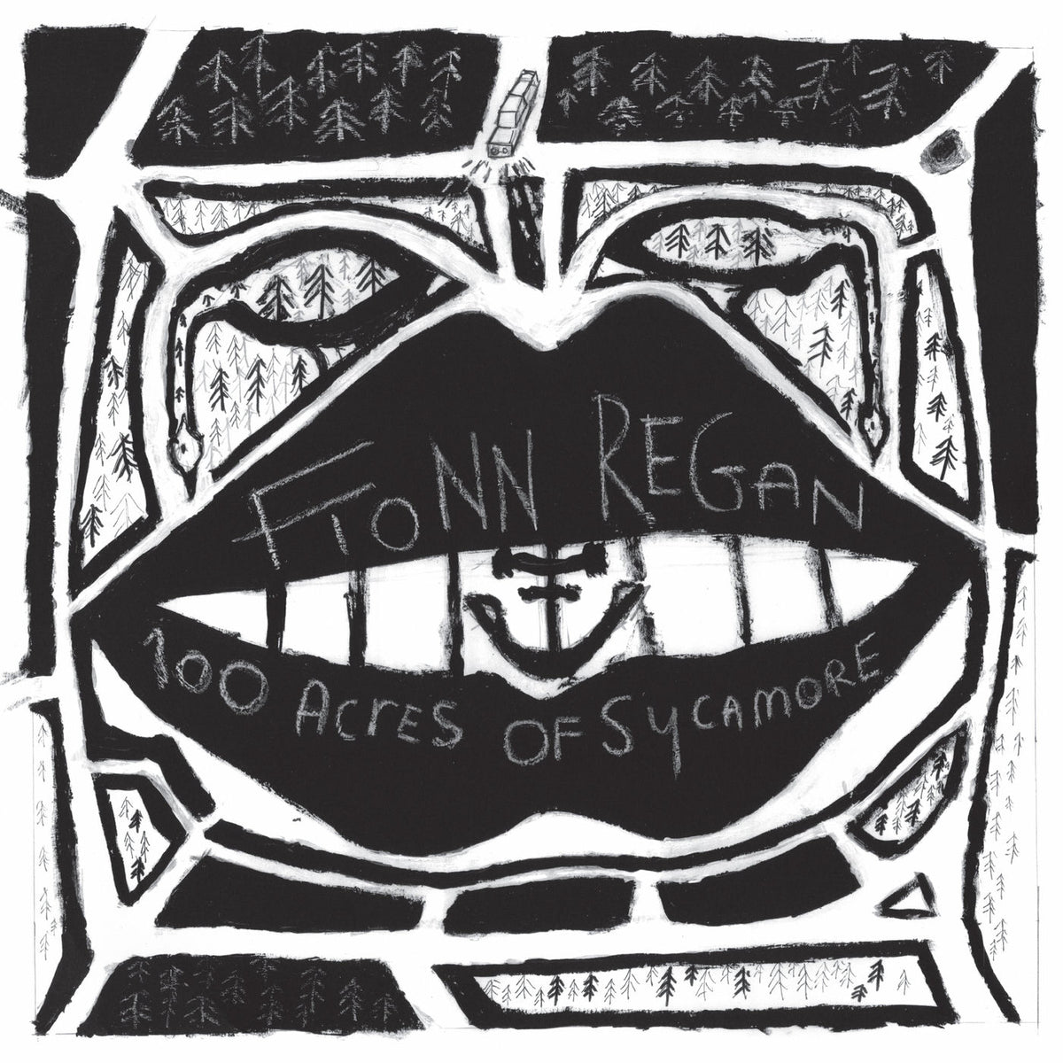 Fionn Regan – 100 Acres of Sycamore vinyl record cover