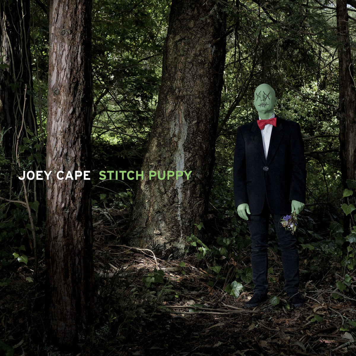 Joey Cape – Stitch Puppy vinyl cover