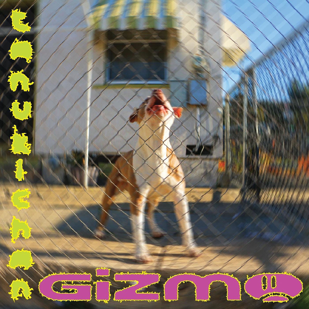 Tanukichan – Gizmo vinyl record cover