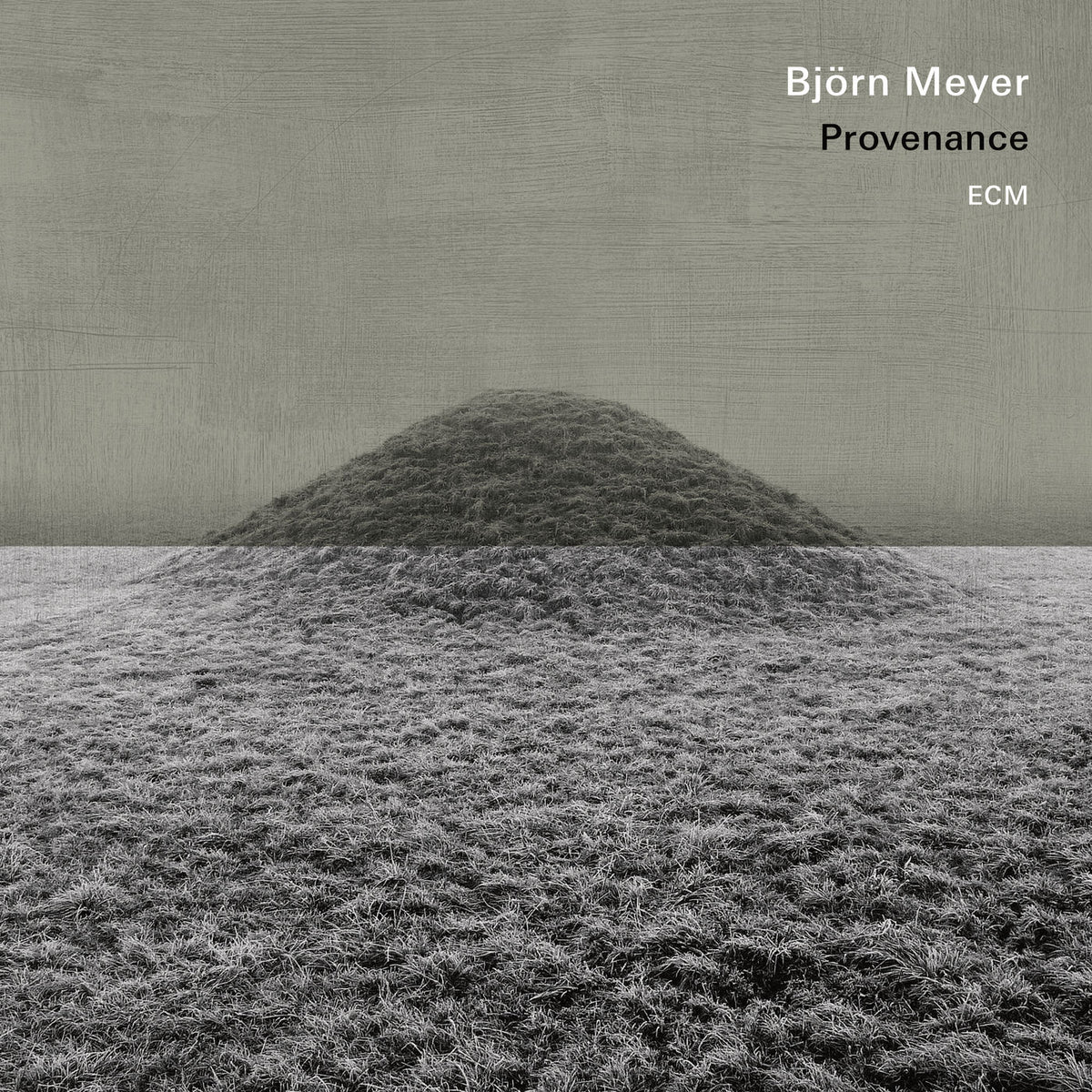 Bjorn Meyer – Provenance vinyl record cover