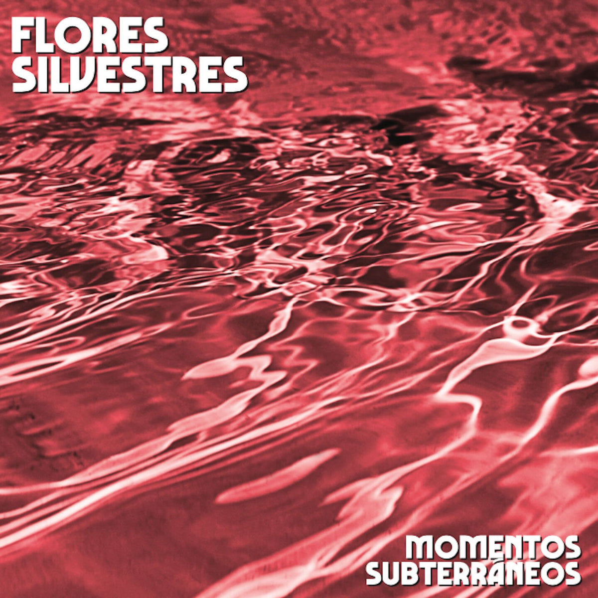 Flores Silvestres – Momentos Subterráneos vinyl cover