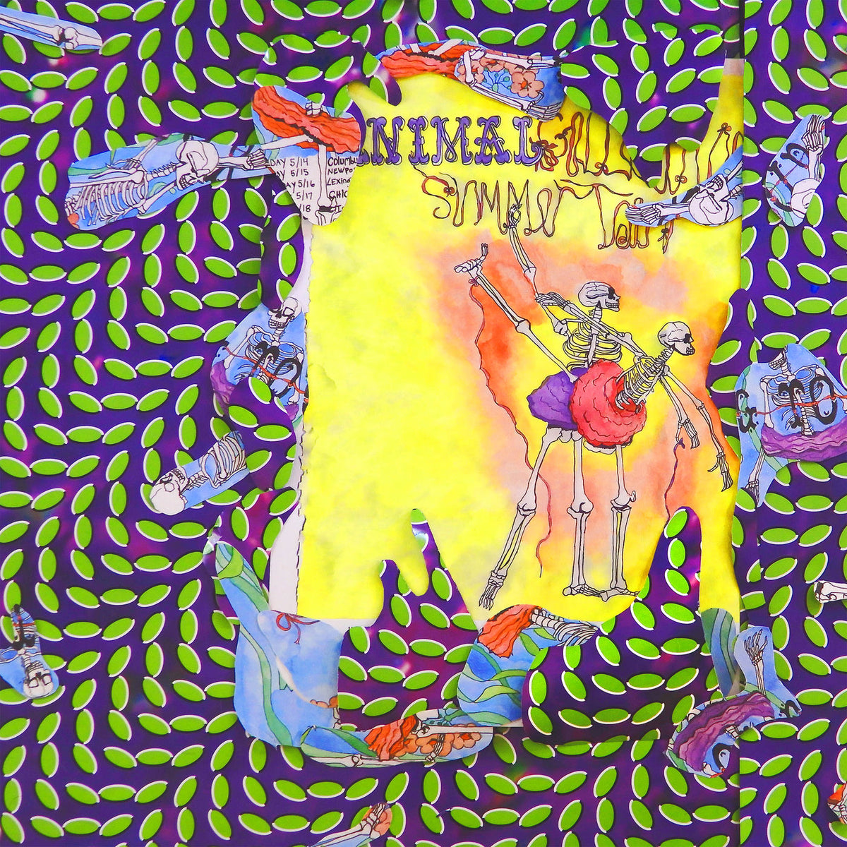 Animal Collective – Ballet Slippers vinyl record cover