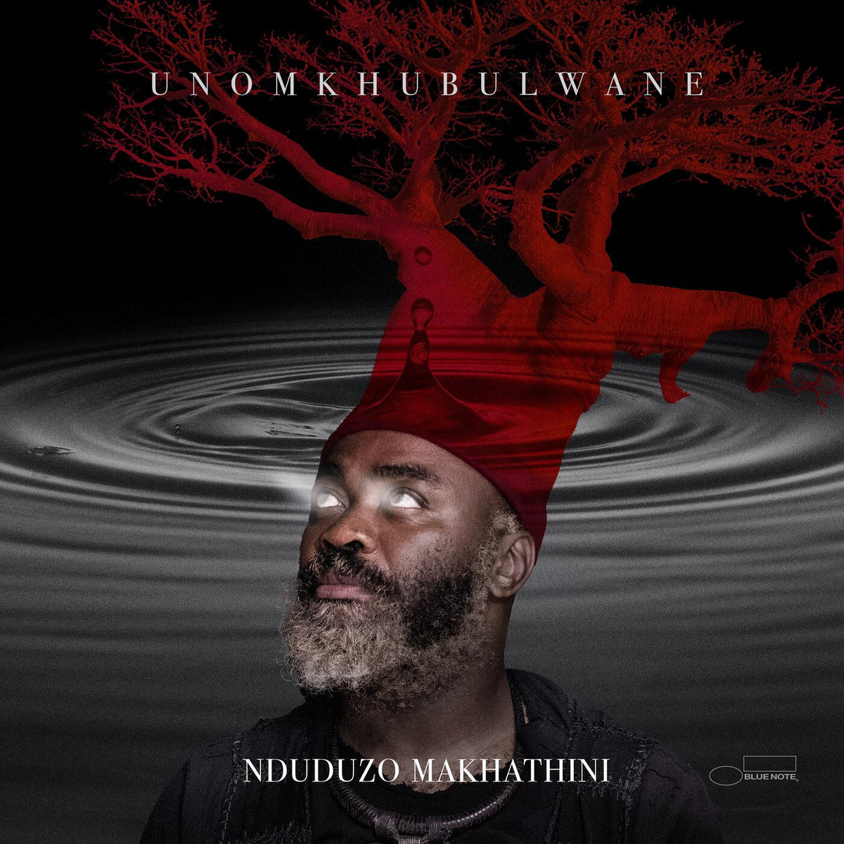 Nduduzo Makhathini – Unomkhubulwane vinyl record cover
