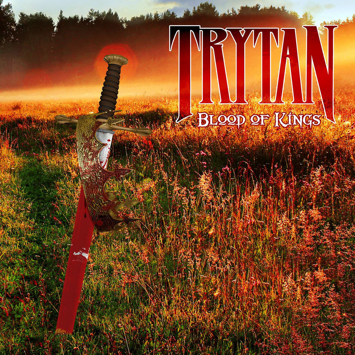 Trytan – Blood Of Kings vinyl record cover