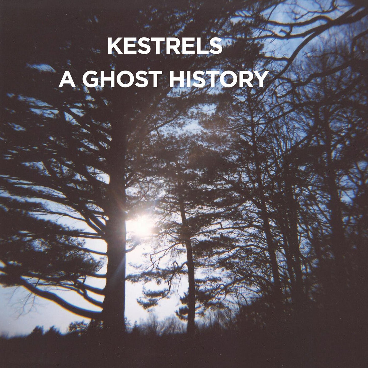 Kestrels – A Ghost History vinyl record cover