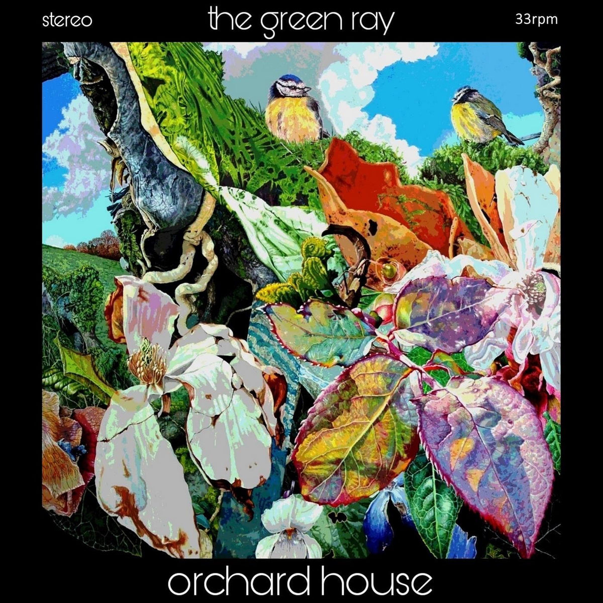 The Green Ray – Orchard House vinyl cover