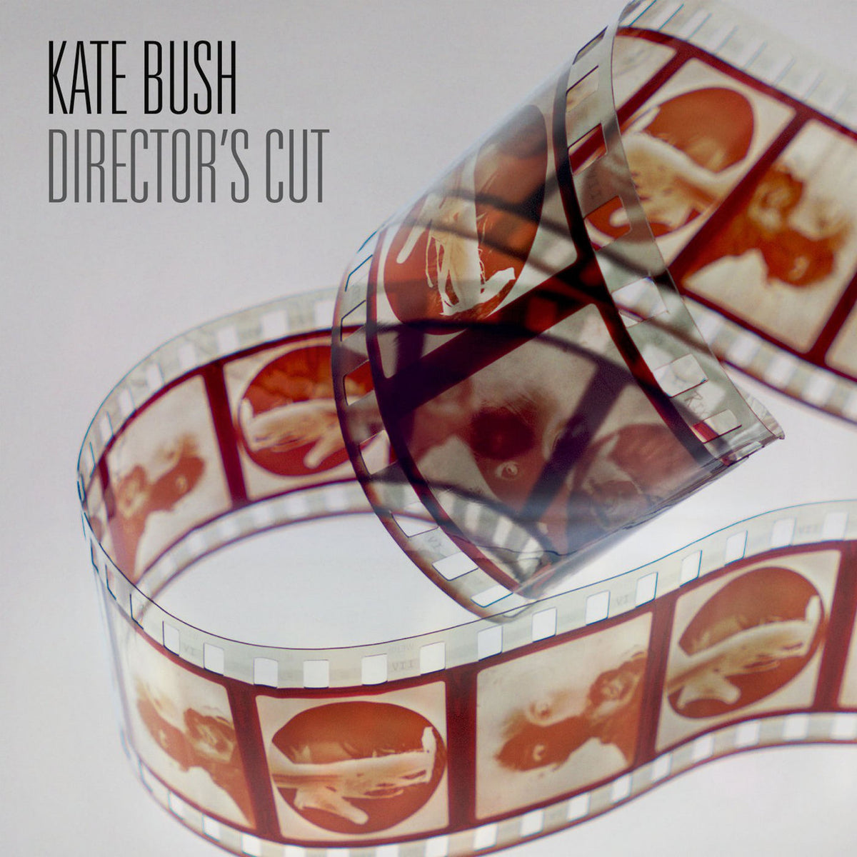 Kate Bush – Director's Cut (Coloured Vinyl) vinyl record cover